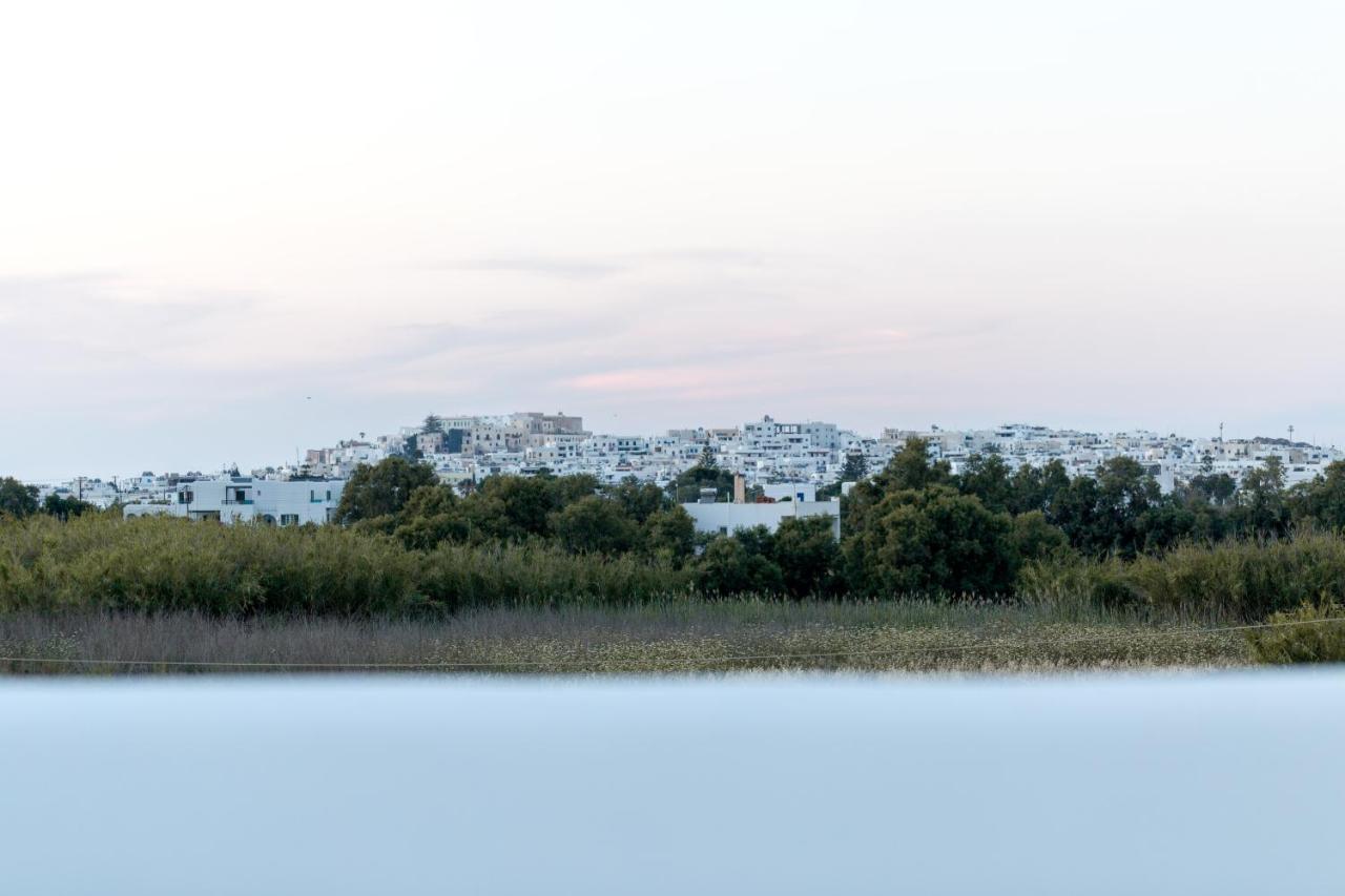 Isalos Villas Naxos Naxos City Extérieur photo